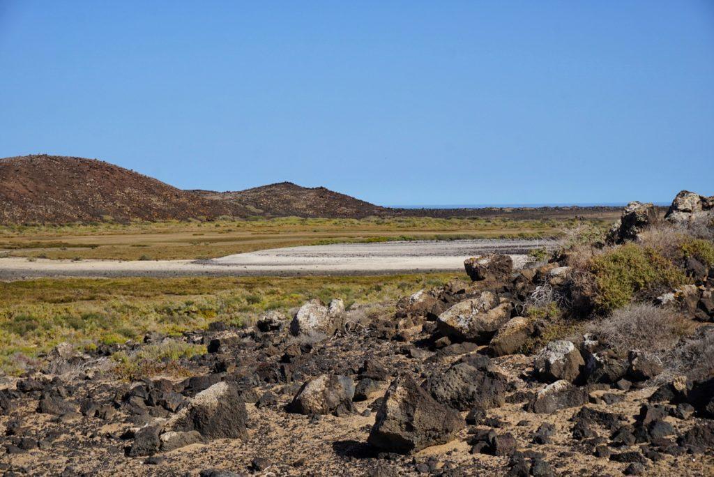 Fuerteventuran luontoa, kivikkoinen ja kuiva aromaisema.