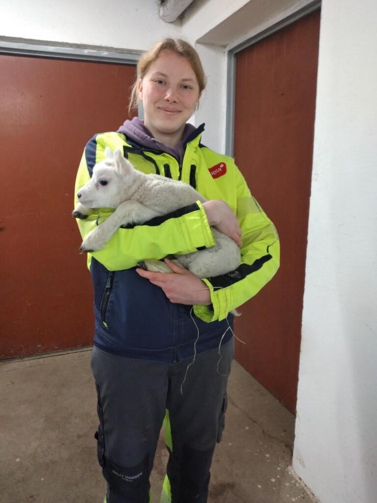 Nuori henkilö pitää sylissään karitsaa ja hymyilee kameralle.